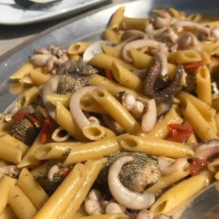 亚德里亚2号酒店 酒店 3*